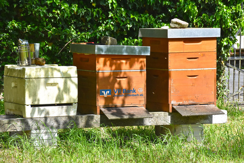Der Bienenstock unserer VR Bank-Bienen
